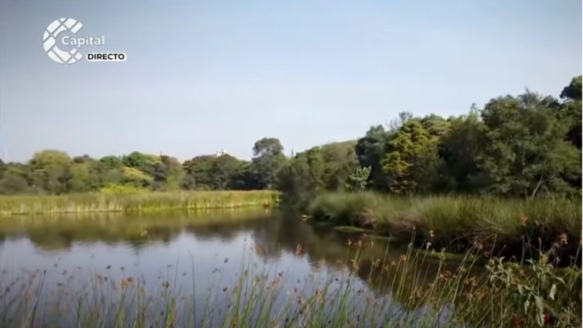 ¿Cuál es el estado de conservación de los humedales en Bogotá?