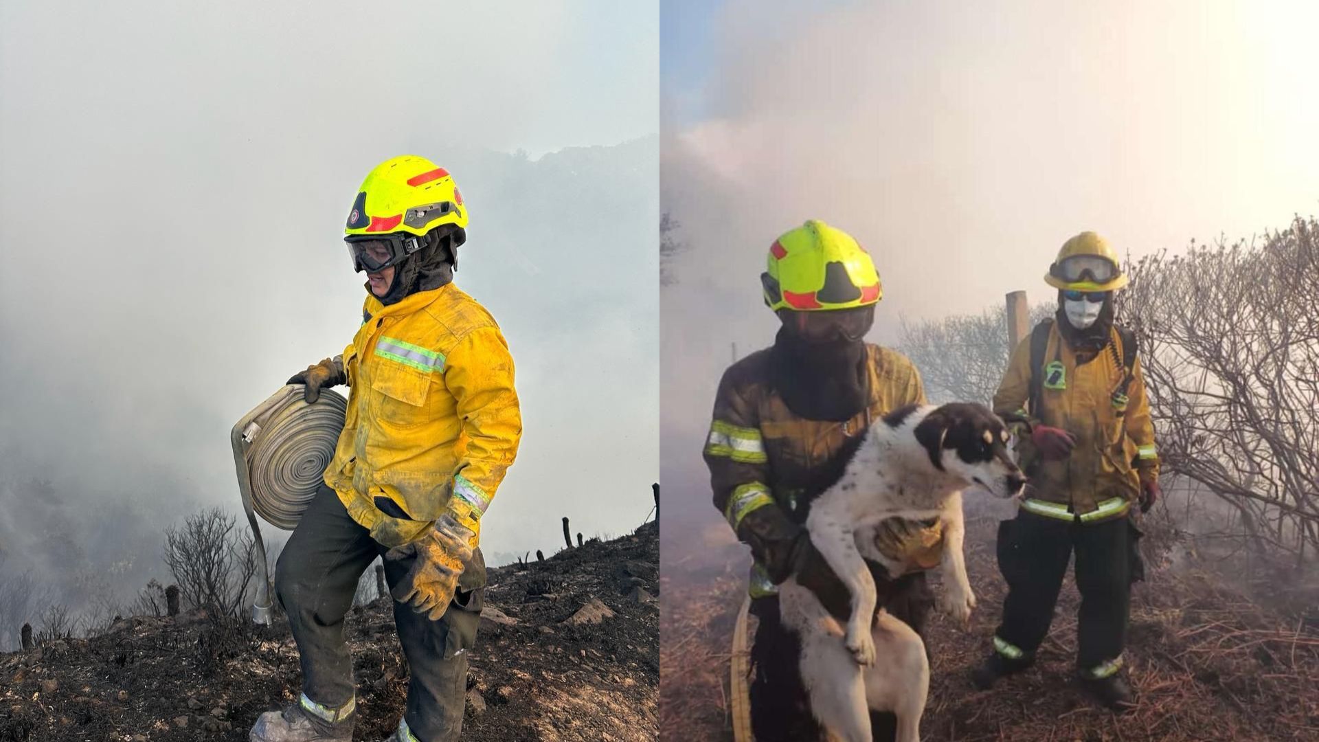 Minambiente brinda 7 lineamientos para tener en cuenta por el Fenómeno del Niño