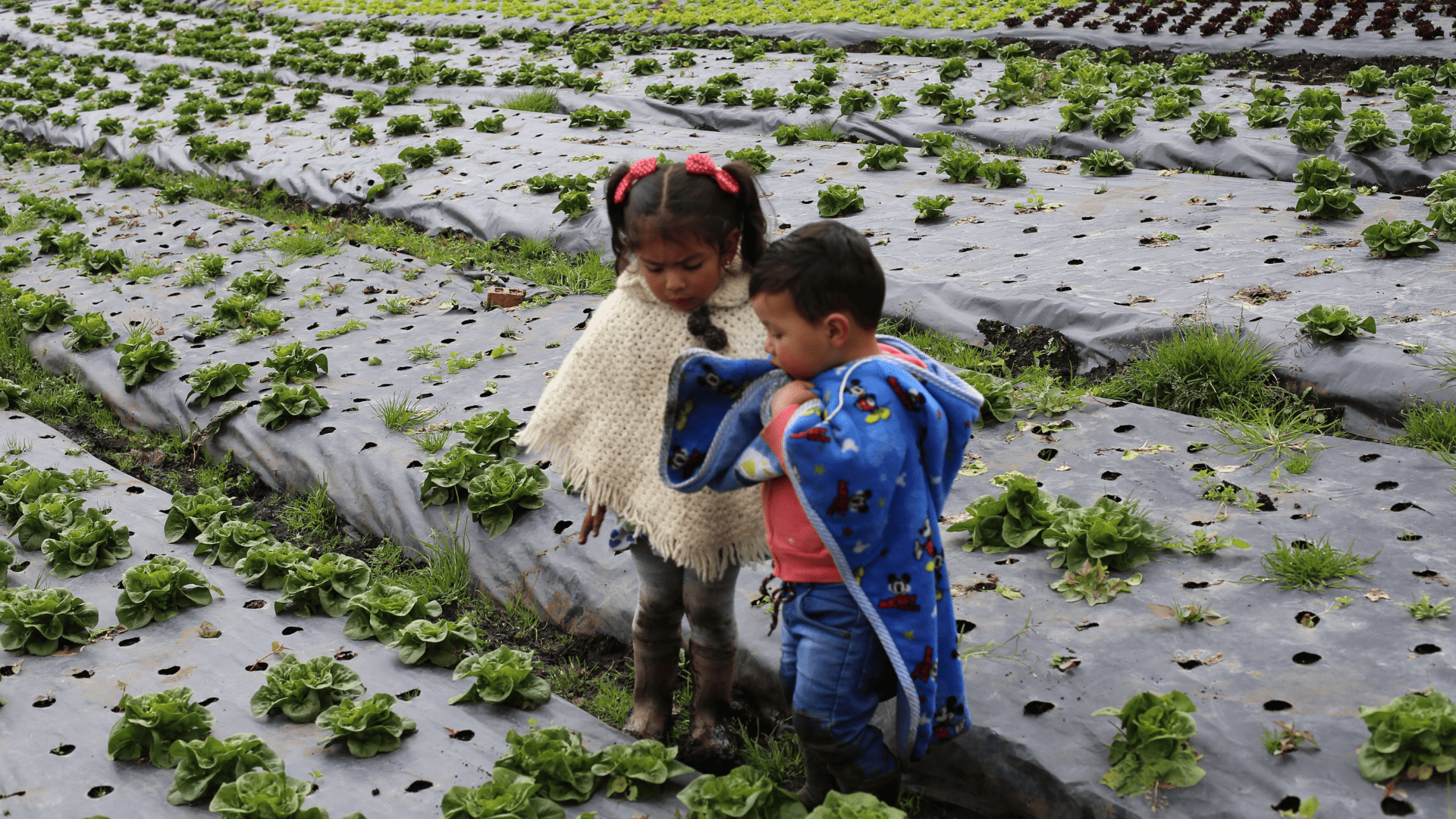 María Paula y su mundo en el campo: una historia de ‘Estamos aquí’