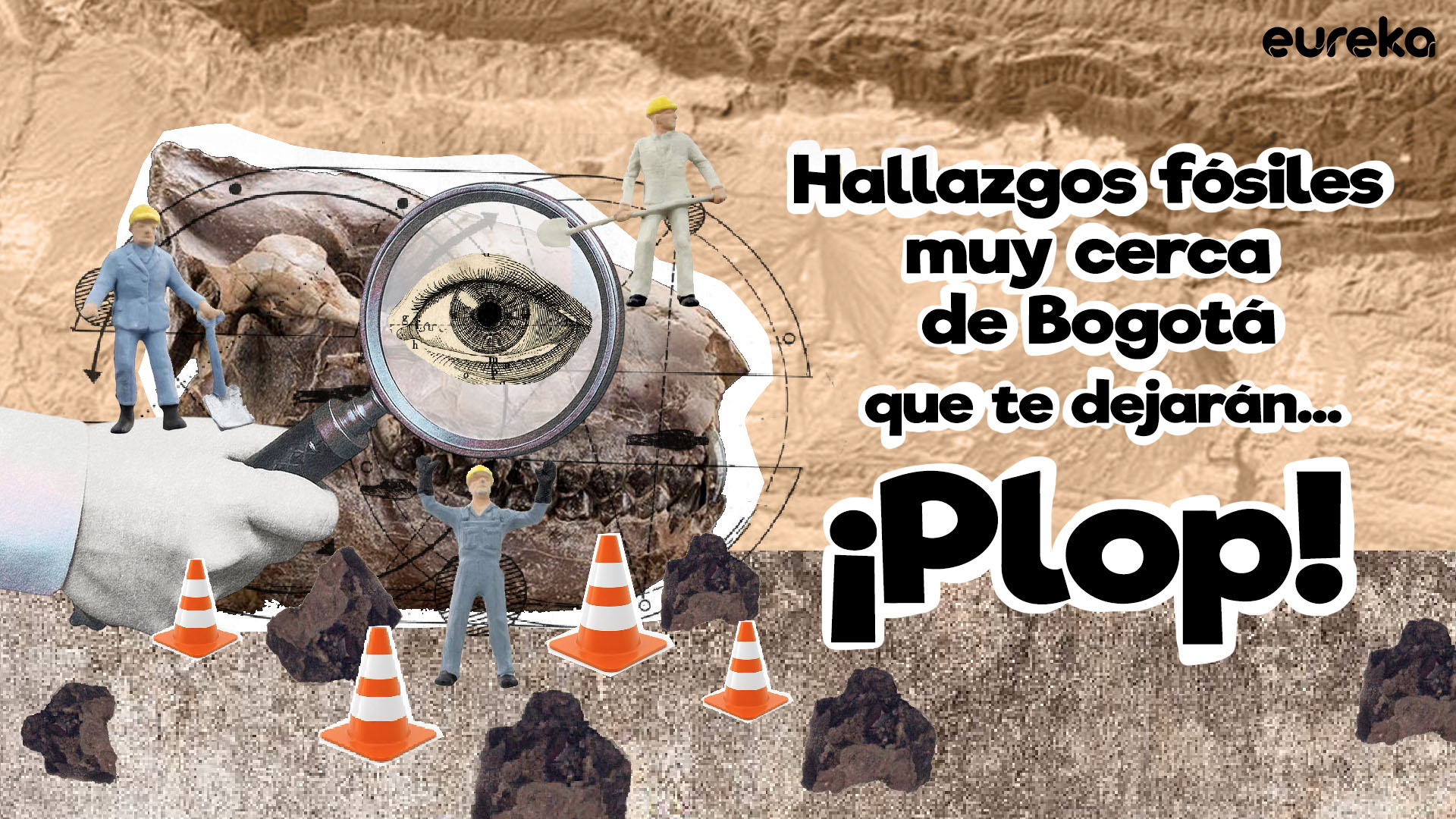 Los hallazgos fósiles más sorprendentes cerca de Bogotá