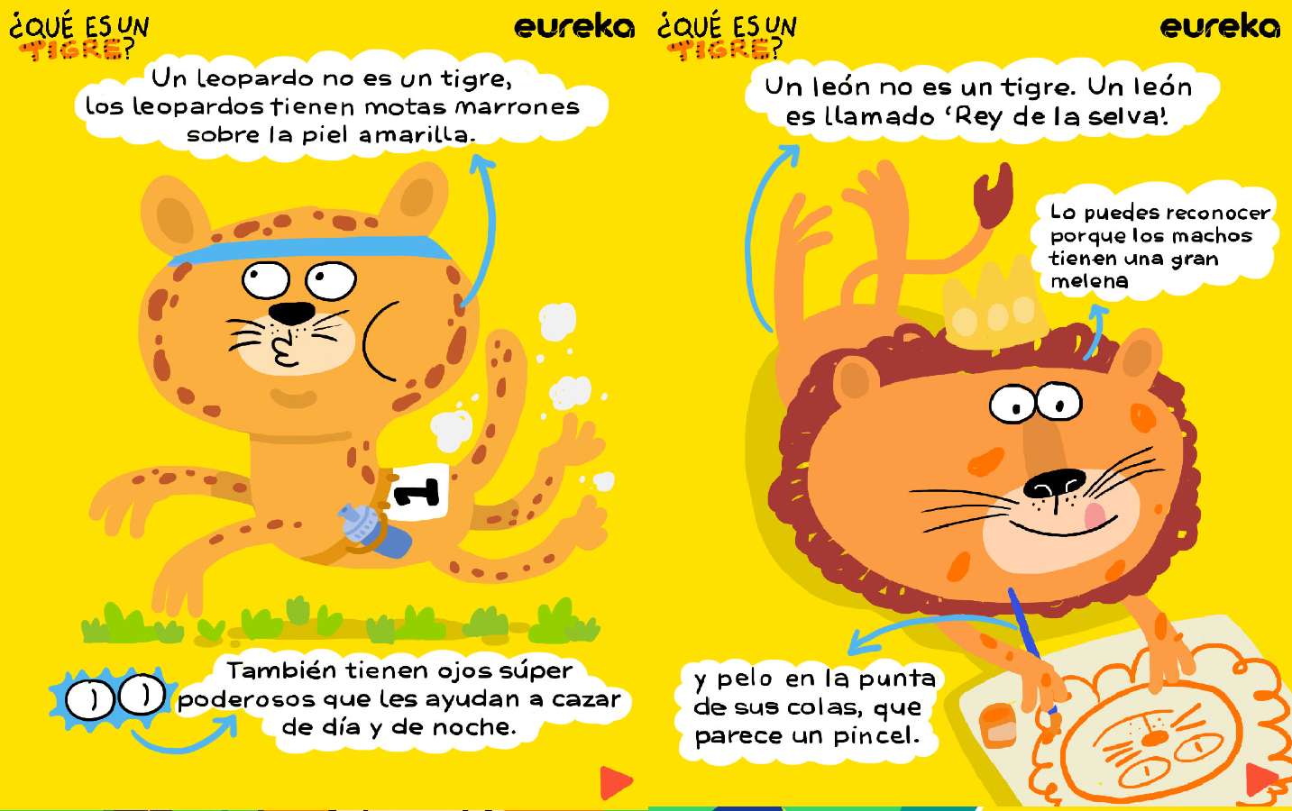 Diferencias leon y tigre