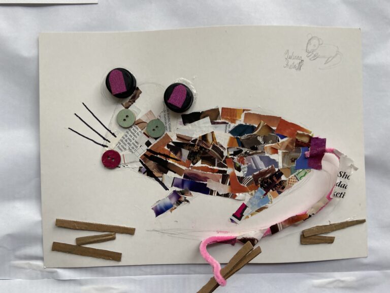 Detrás de cámaras ciudad animal