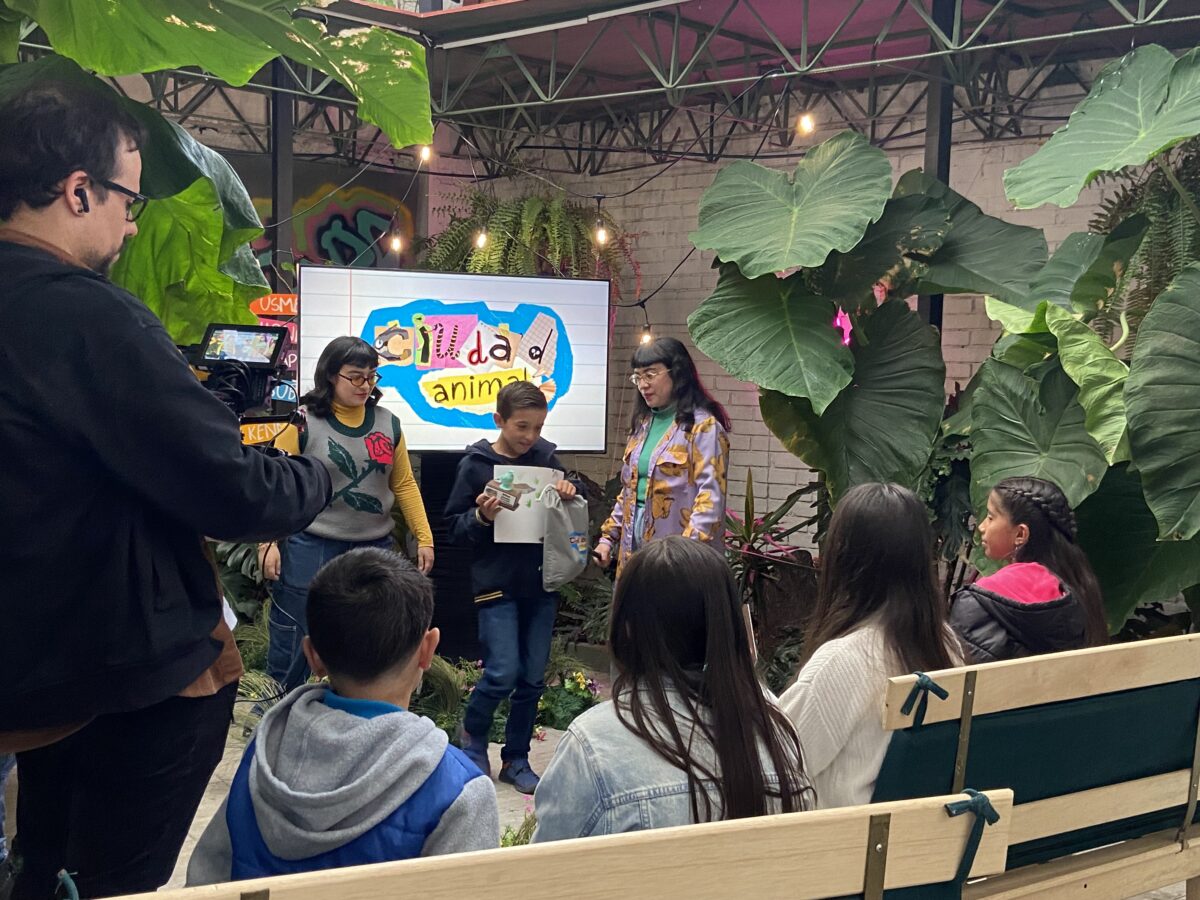 Detrás de cámaras ciudad animal