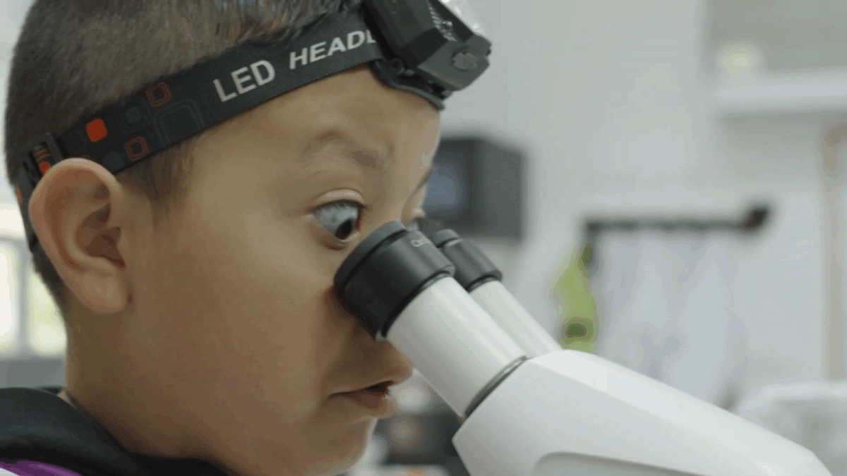 ¿Qué es la espeleología?