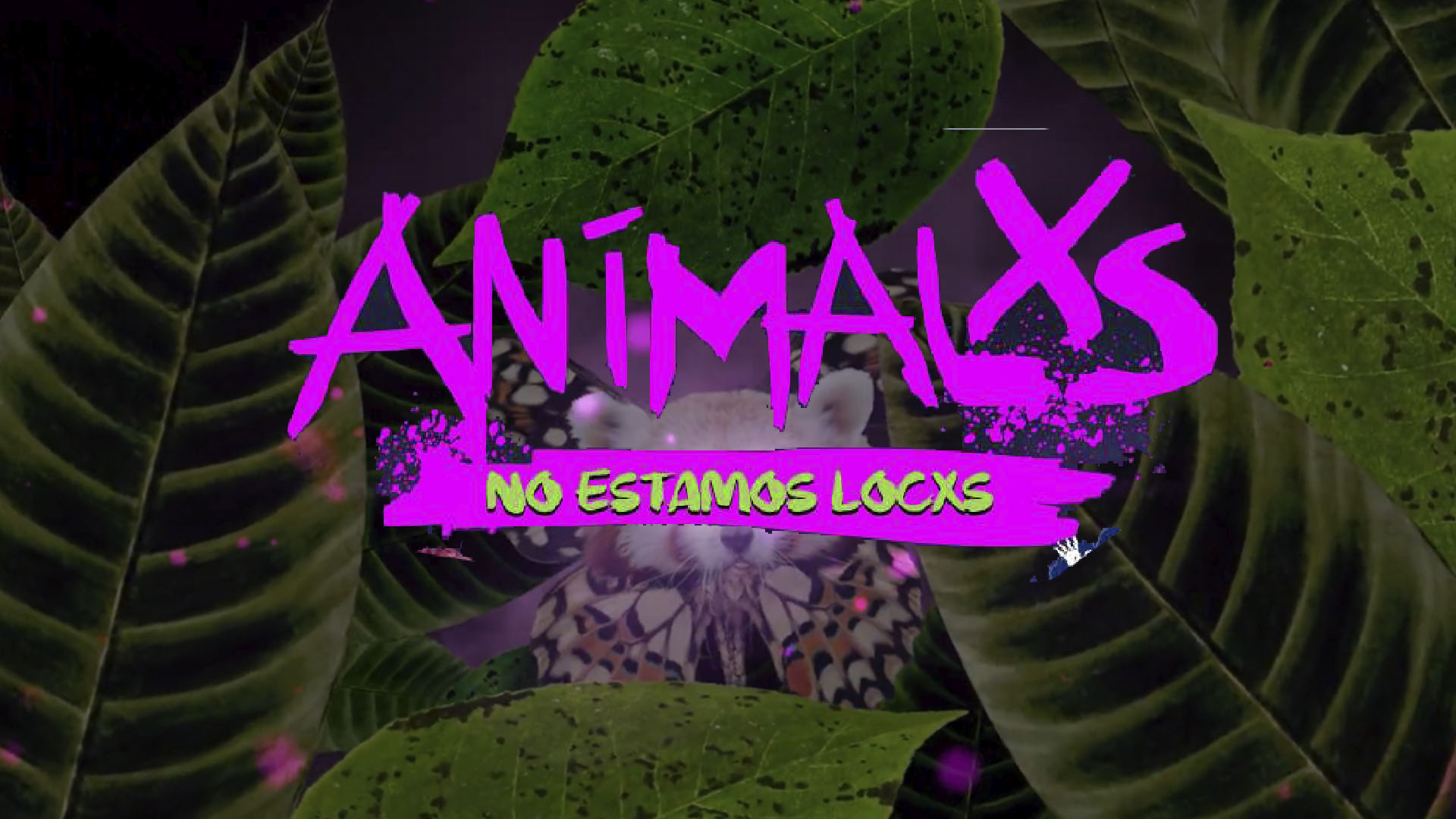 Logo Animalxs no estamos locos