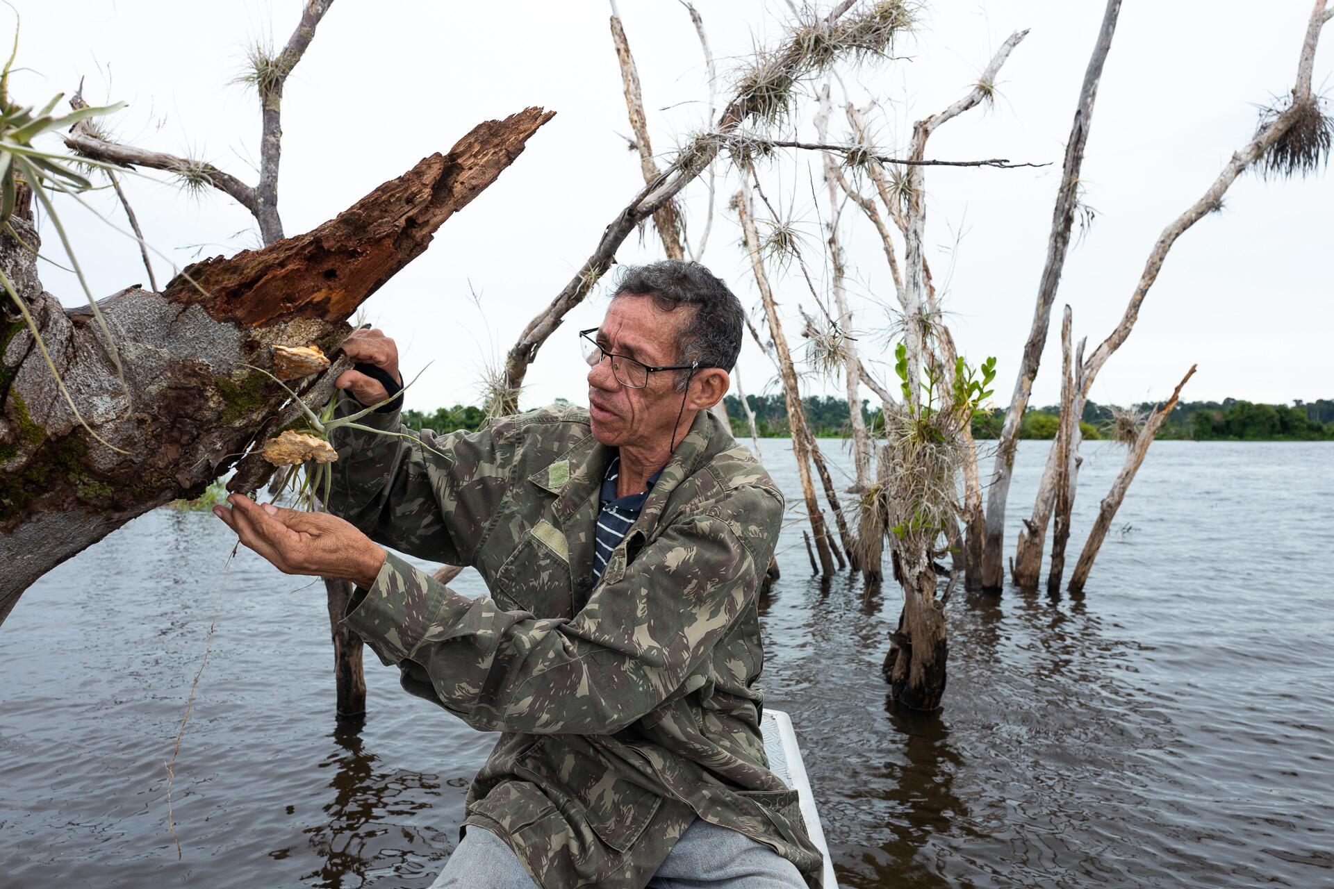 A Amazônia dos fungos - SUMAÚMA, image size:1920x1280