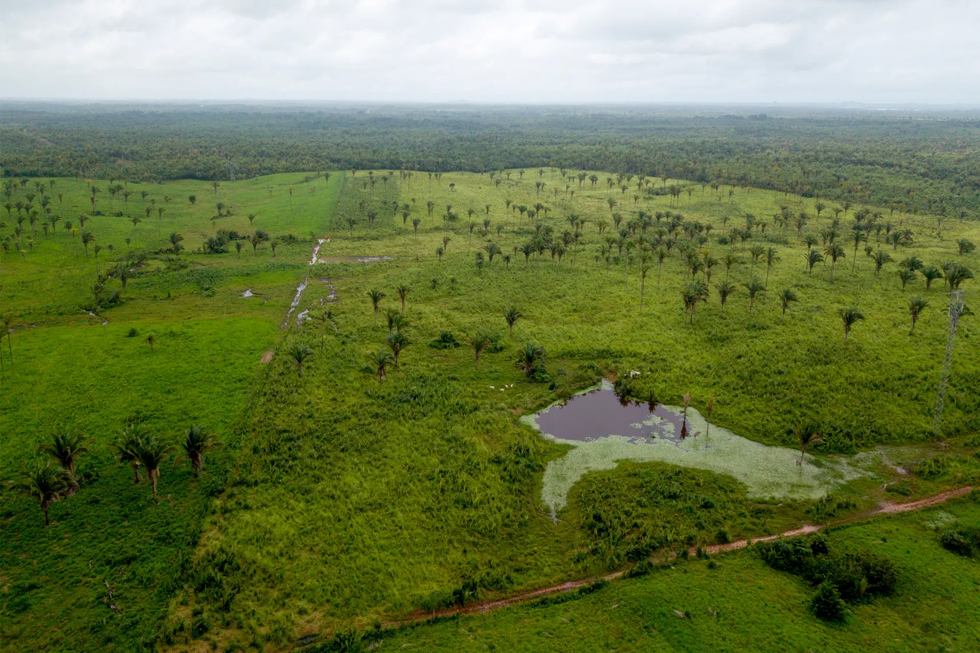 Boshligining oyoqlarini opish Uyda yalangoch qizlarning shaxsiy fotosuratlari