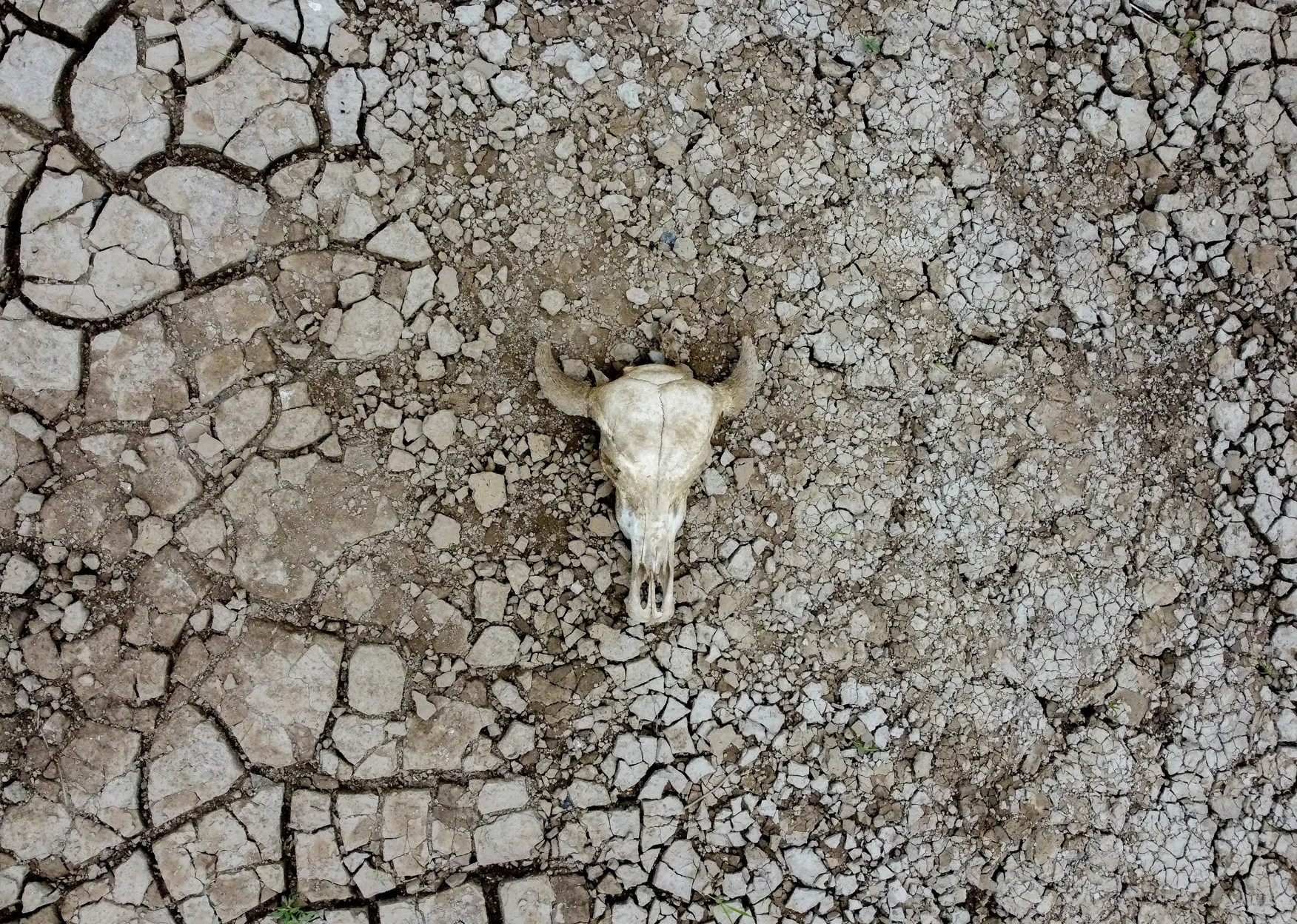 Brazil’s Climate Plan: An ugly reflection of agribusiness