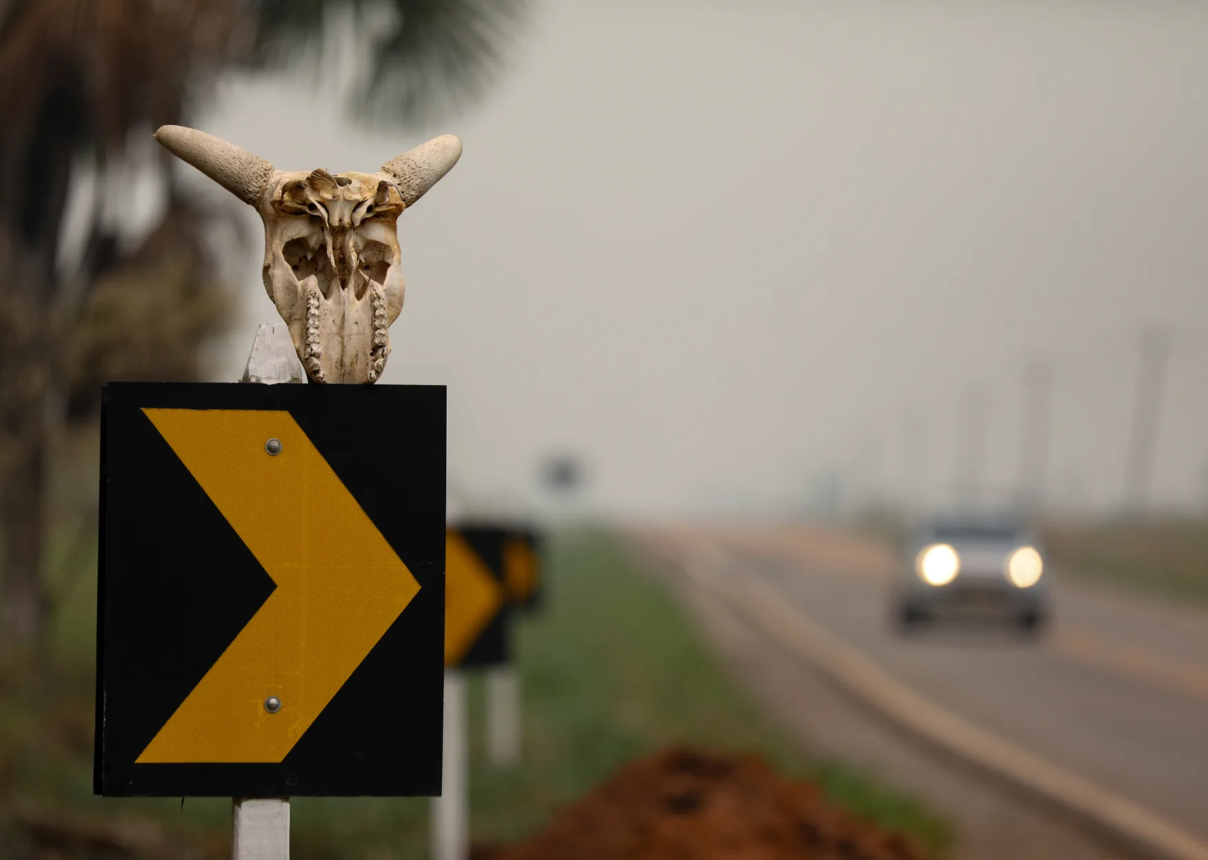 Bolsonarists set to take control of at least seven of the nine states in the Amazon - SUMAÚMA