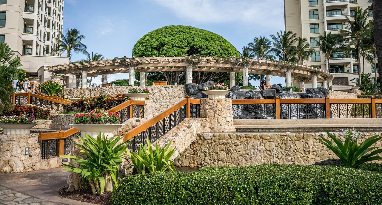 hawaii, oahu, nature, resort, ko olina, marriott, pool, palm trees, outdoor, person, travel, summer, tourism, holiday