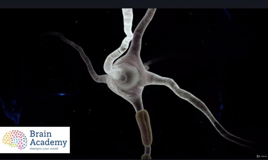 Best Udemy Courses