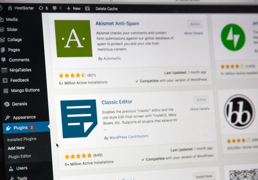 Best WordPress Courses