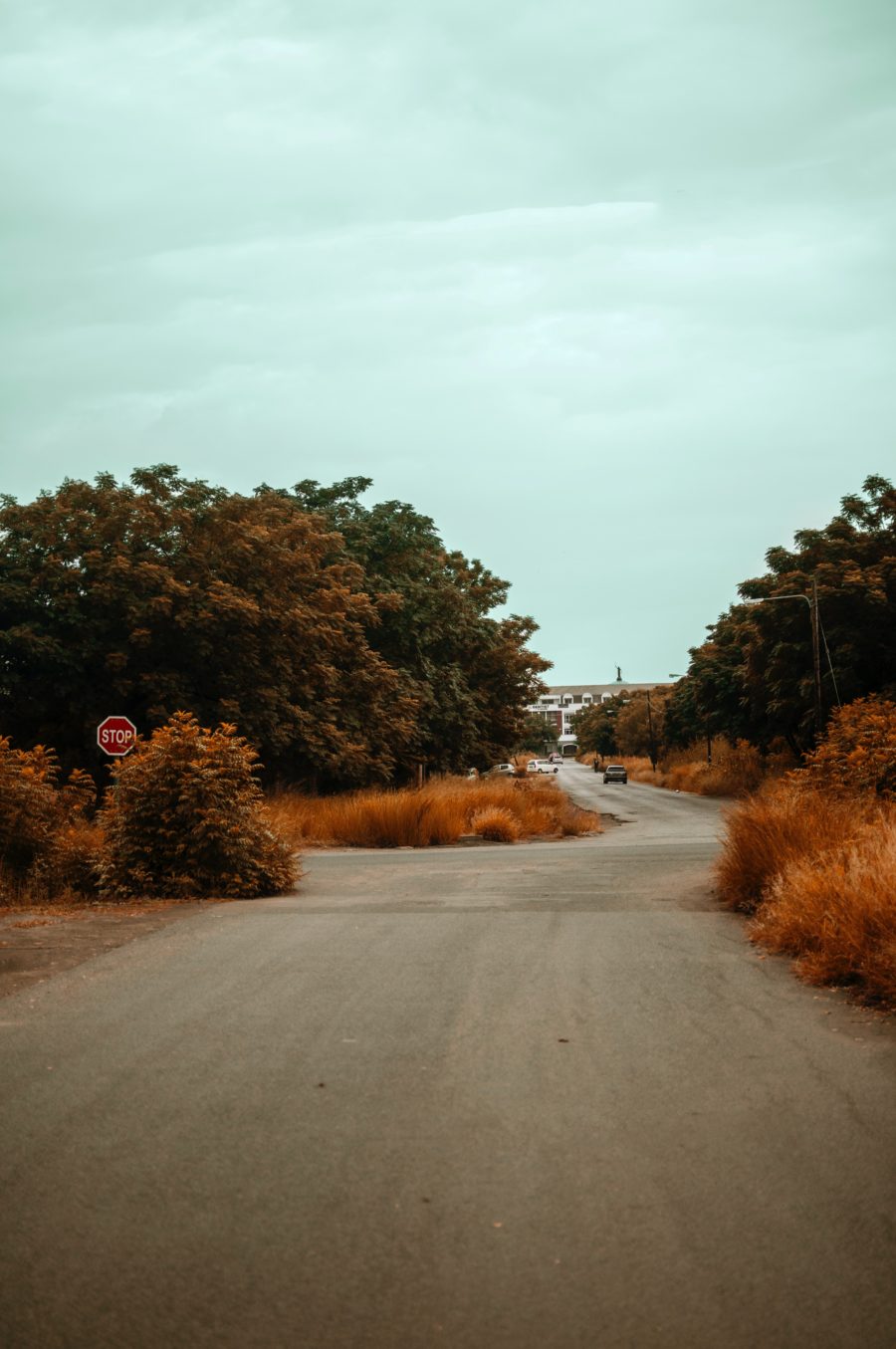 Forex Trading in Botswana • Forex Strategies Benzinga