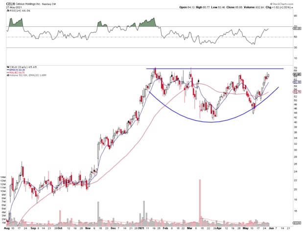 Celsius Holdings Inc Ticker Celh Benzinga Premium Ideas