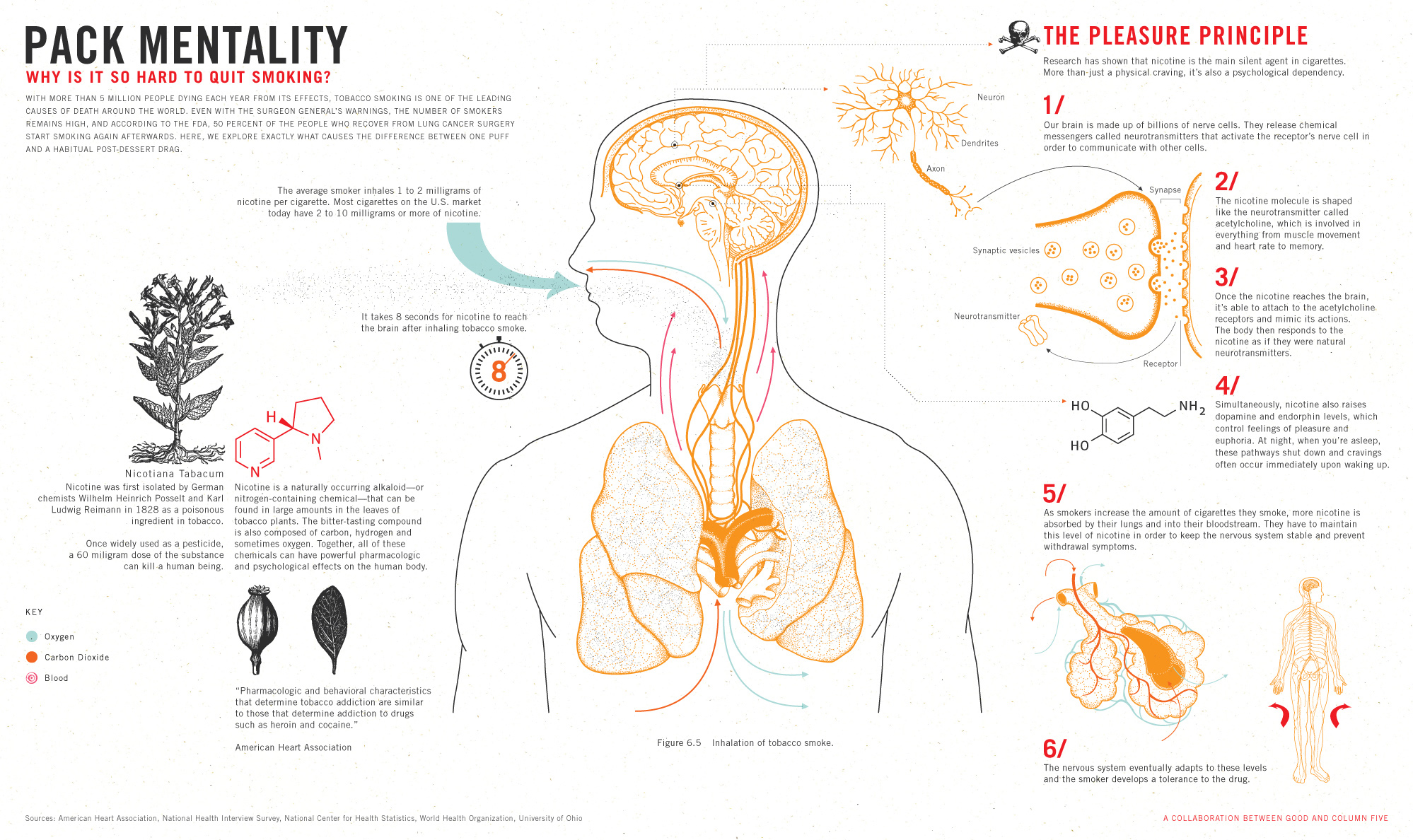minimal infographic design minimal infographic design