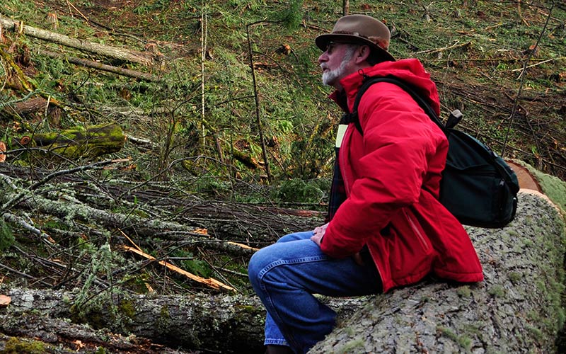 A Writer's Perspective On Forestry In The New American West