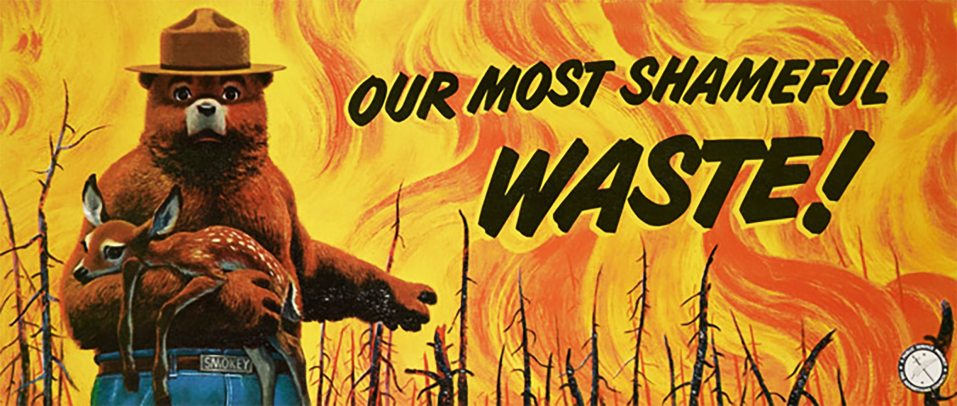 Maybe They Should Shoot Smokey, Too