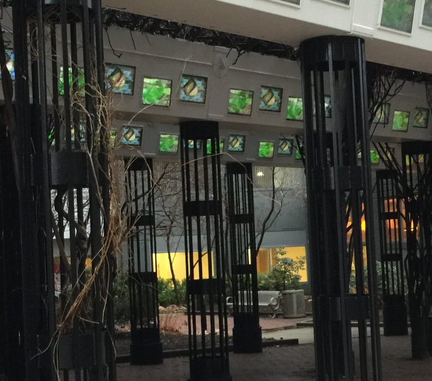 Video Arbor