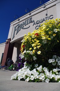 fernieaqcentre