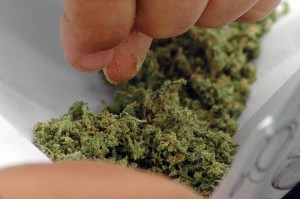 weedroll