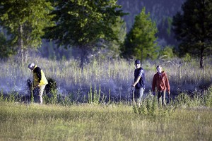 CSPGrassfire