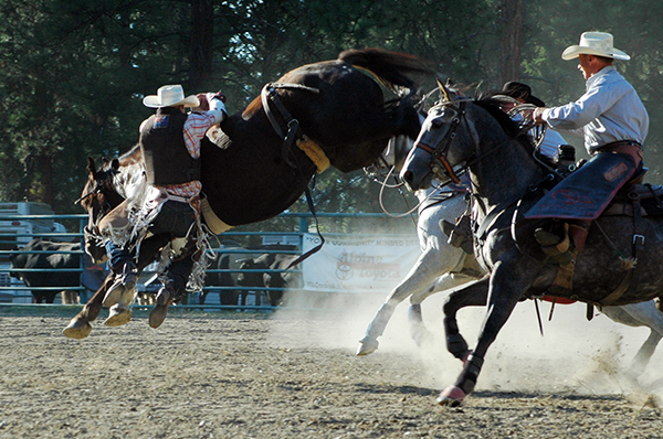 Rodeo gets bucks | Cranbrook