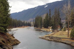 SCFElkRiver