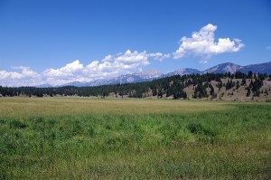 Thunder Hill Ranch, to the west of Highway 93/95.