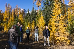 Kari Stuart-Smith, PhD, RPBio,Ken McGrogan, RFT and Grant Neville, RPF, Forestry Field Trip with Canfor, to Horsethief drainage.