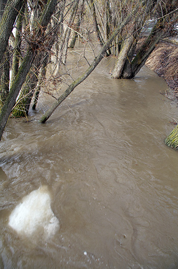 Joseph Creek March 6, beside Tamarack Mall. Ian Cobb/e-KNOW