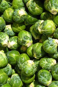 ColCardozoBrussels