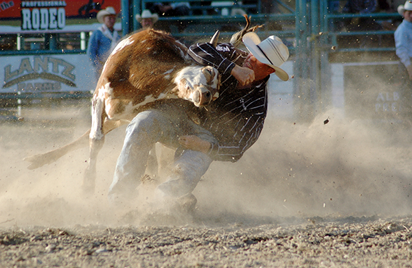 Cranbrook Rodeo Rodeo benefits from provincial grant | Cranbrook