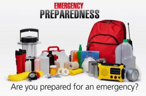 Ferniemergencyprep