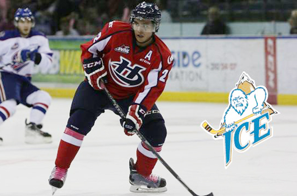 ICE acquire veteran defenseman from Hurricanes | Cranbrook