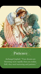 BB Patience