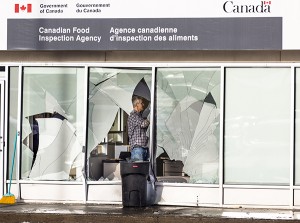 CSP Window car smash 1