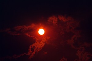 Wycliffe Red Sun