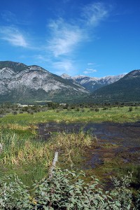 Columbia River Wetlands near Spillimacheen