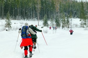 Naturalists 1