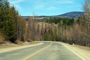 Gerry Sorensen Way