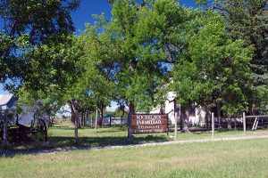 Michelsen Homestead in Stirling; an 1890s ranch home preserved in 1930s fashion.