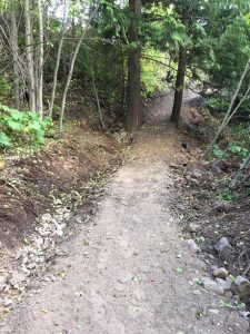trail2