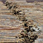 Two tiered cut level set for Invermere TSA