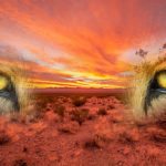 Horoscope for the week beginning July 21
