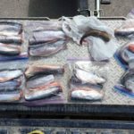 COs charge man for over-fishing at Premier