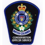 Cougars destroyed near Island Lake