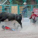 Thrills of the Cranbrook Pro Rodeo