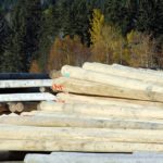 Kootenay-Columbia and Softwood Lumber