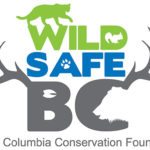 Bear sightings reported on Fernie trails