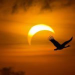 Horoscope for the week beginning August 18
